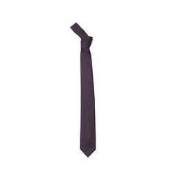 Arrow - Men Formal Printed Purple Tie