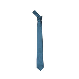 Arrow - Men Formal Solid Blue Tie