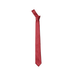 Arrow - Men Formal Solid Red Tie