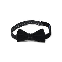 Arrow - Men Casual Solid Black Bow Tie