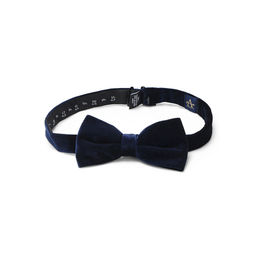 Arrow - Men Casual Solid Blue Bow Tie