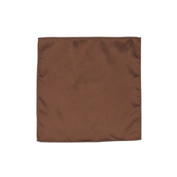 Arrow - Men Formal Solid Brown Pocket Square