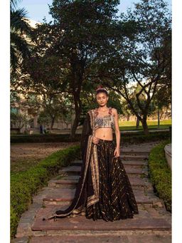 Soniya G - Black Lurex Embroidered Lehenga with Blouse and Dupatta