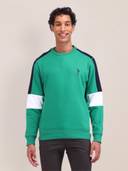 Green color option, Currently selected
