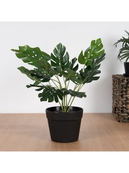 HomeTown - Ilana Monstera Potted Plant in Multi Colour