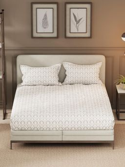 Nautica - Brown Cotton Bedsheet with 2 Pillow Covers (King)