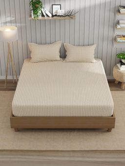 Nautica - Brown Satin Cotton Bedsheet with 2 Pillow Covers (King)
