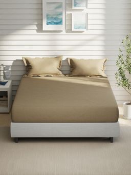 Nautica - Brown Cotton Bedsheet with 2 Pillow Covers (King)