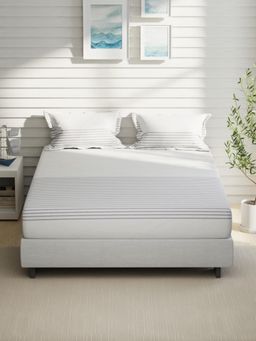 Nautica - Grey Stripe Cotton Bedsheet with 2 Pillow Covers (King)