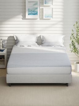 Nautica - Blue Stripe Cotton Fitted Bedsheet with 2 Pillow Covers (King)
