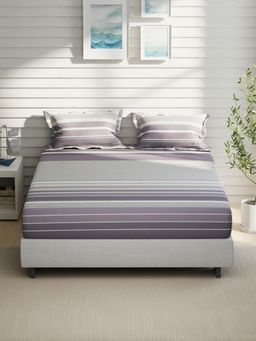Nautica - Purple Stripe Cotton Bedsheet with 2 Pillow Covers (King)