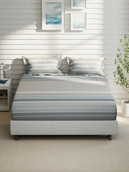 Nautica - Green Stripe Cotton Fitted Bedsheet with 2 Pillow Covers (King)