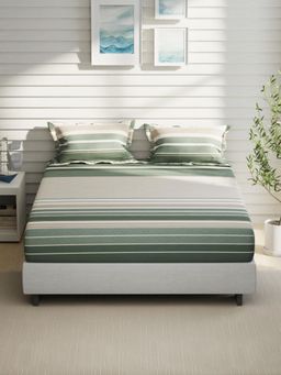 Nautica - Olive Stripe Cotton Fitted Bedsheet with 2 Pillow Covers (King)