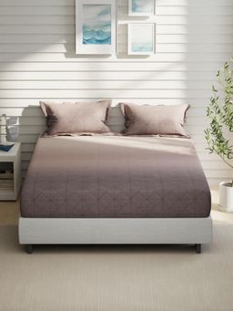 Nautica - Wine Cotton Bedsheet with 2 Pillow Covers (King)