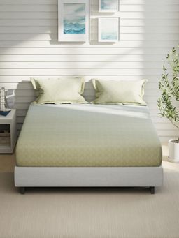 Nautica - Green Cotton Fitted Bedsheet with 2 Pillow Covers (King)