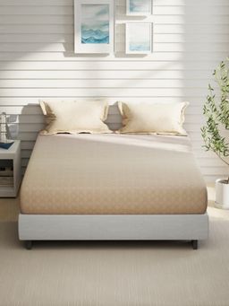 Nautica - Beige Cotton Bedsheet with 2 Pillow Covers (King)