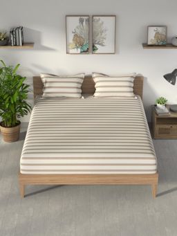 Nautica - Brown Stripe Cotton Fitted Bedsheet with 2 Pillow Covers (King)