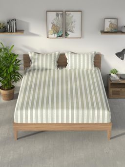Nautica - Green Stripe Cotton Bedsheet with 2 Pillow Covers (King)