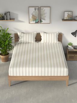 Nautica - Brown Stripe Cotton Fitted Bedsheet with 2 Pillow Covers (King)