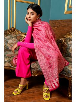 Dusala India - Handwoven Cashmere Fine Wool Stole