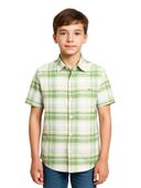 Green color option, Currently selected