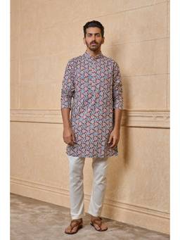 TASVA - Multi-Coloured Cotton Printed Kurta Pant