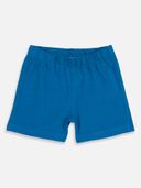 Blue color option, Currently selected