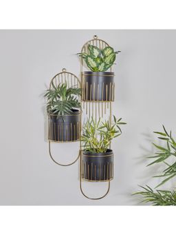 HomeTown - Artiskylar Metal Planter Matt Finish Wall 88 Cm in Black and Gold Colour