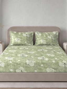 Sleeping Owls- because your sleep matters - Cotton Emperor Super King Bedsheet With Pillow Covers