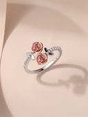 Rose Gold color option, Sold out