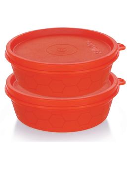 MAGNUS - Steel Plastic Utility Lunch Boxes (Pack of 2)