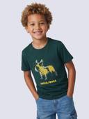Green color option