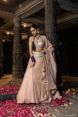 MONK & MEI - Janaki Women Pink Embroidered Lehenga with Stitched Blouse and Dupatta