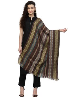 Anekaant - Spatial Brown & Multi Striped Viscose Rayon Stole