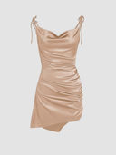 Brown color option, Currently selected