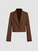 Brown color option, Currently selected