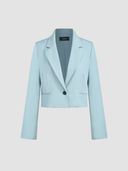 Blue color option, Currently selected
