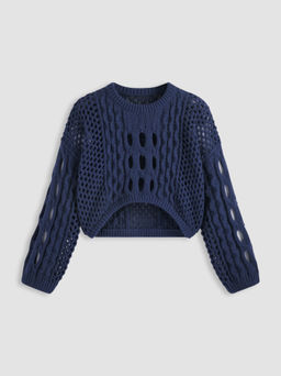 Cider - Knit Round Neckline Hollow Out Long Sleeve Crop Top Curve & Plus