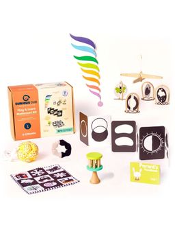 Curious Cub - Kids Multi-Color Montessori Box