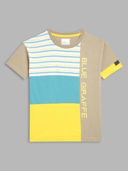 Blue Giraffe - Boys Multi Colorblock T-Shirt