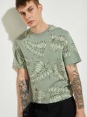 Green color option, Sold out