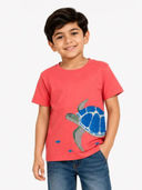 Coral color option, Currently selected