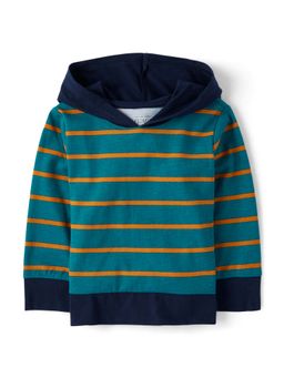 The Children's Place - Boys Multicolour Striped Winter Hoodie