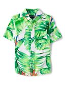 Green color option, Currently selected