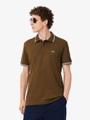 Brown color option, Currently selected