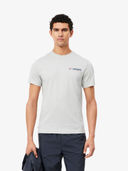 Grey color option, Currently selected