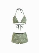 Green color option, Currently selected