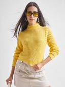 Yellow color option, Currently selected