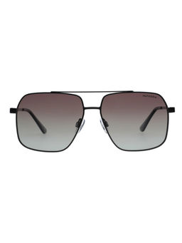 Tommy Hilfiger - Men Brown Lens Black Navigator Sunglasses (TH1579PL-N) (59)