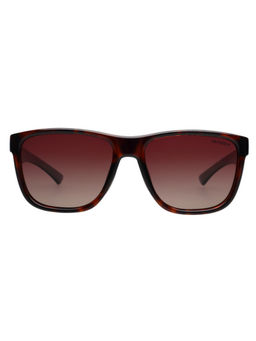 Tommy Hilfiger - Women Maroon Lens Brown Wayfarer Sunglasses (TH1581PL-N) (57)